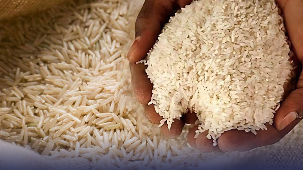Waywise Global Rice Global Rice Prices Fall As Supply Increases And Demand Weakens | Bricsgrain
