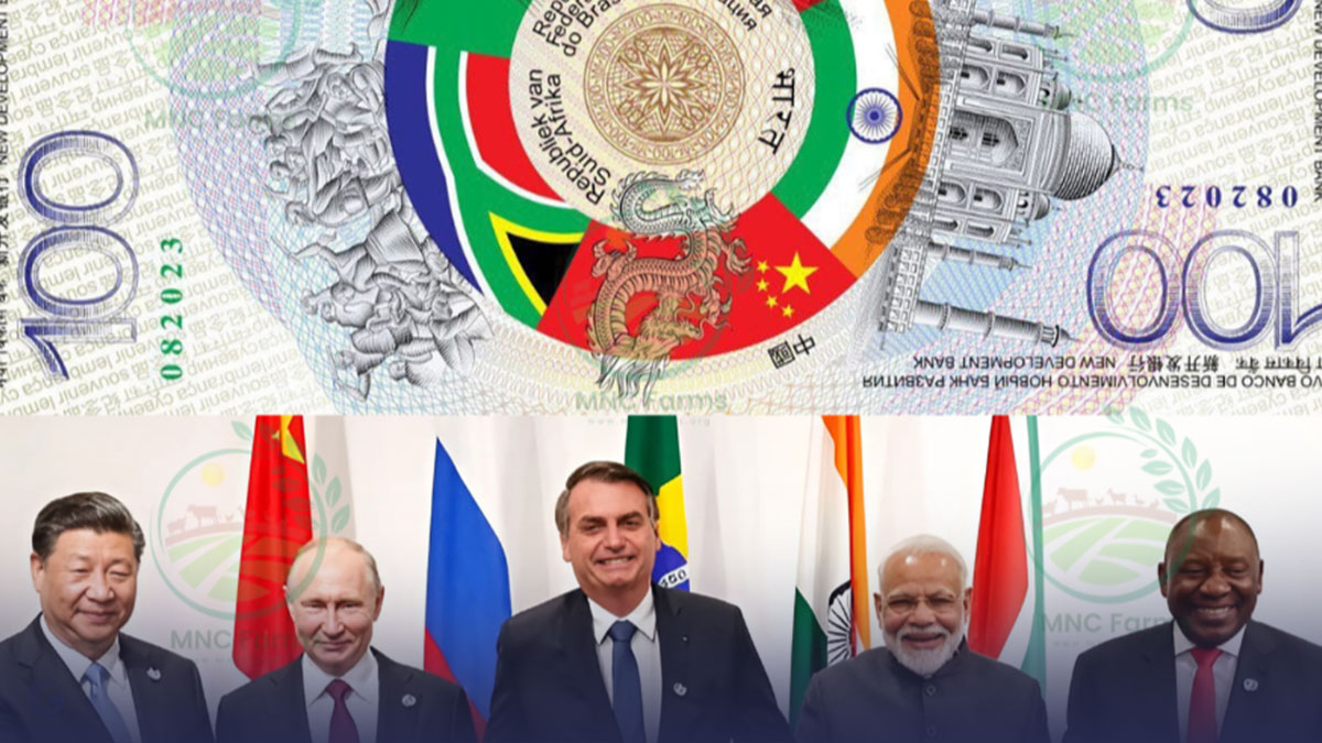 Fan Yimin Endorses Single BRICS Currency For Trade Settlements | Bricsgrain